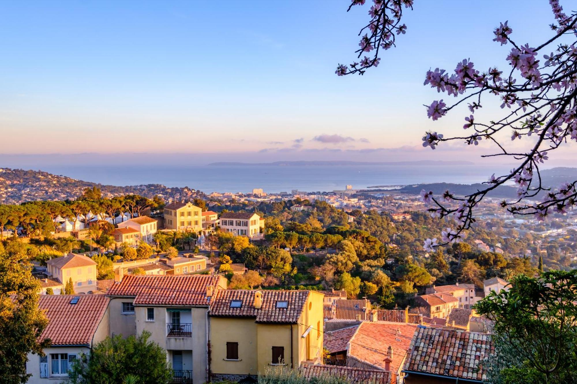 Superbe T2 4 Etoiles Climatise Faviere Refait A Neuf Apartment Bormes-les-Mimosas Bagian luar foto